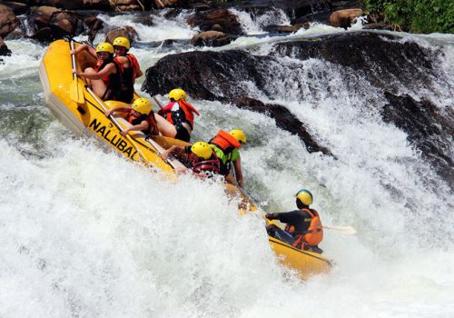 1 Day White Water Rafting Experience