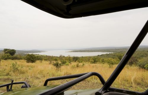 1 Day Excursion to Akagera National Park