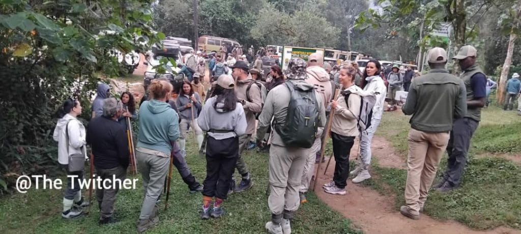 Group Safari in Uganda