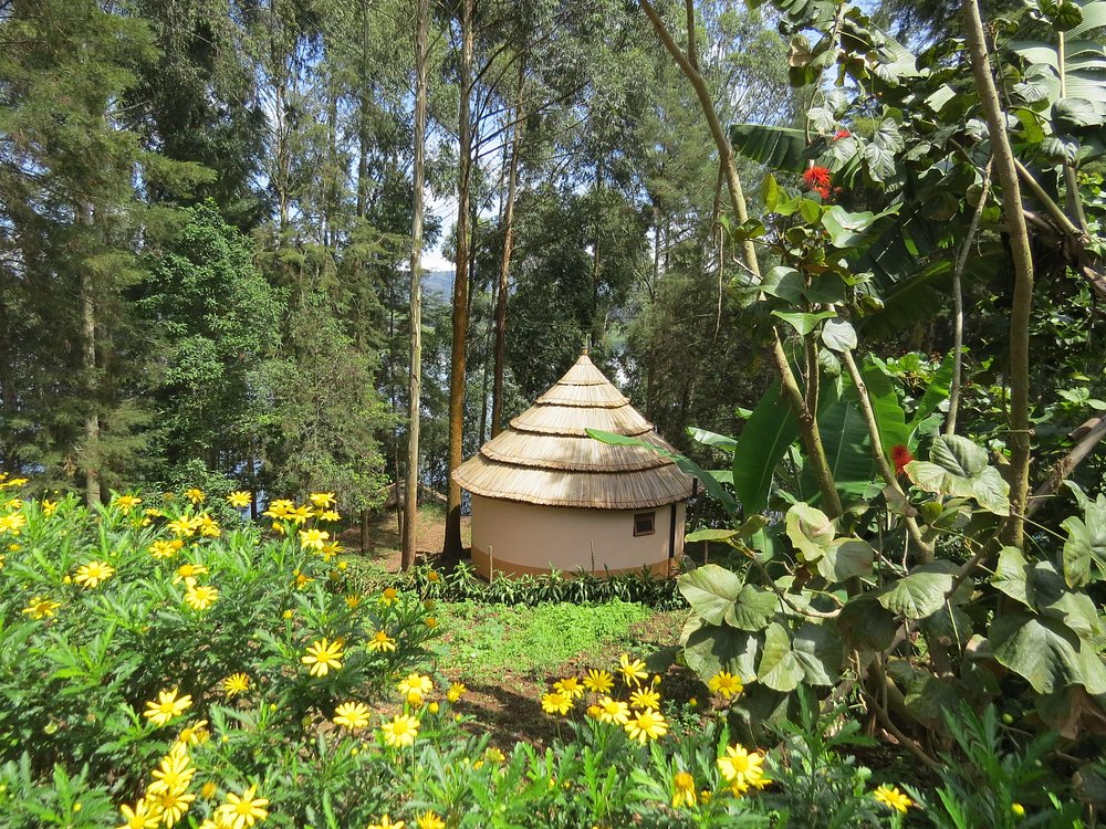 Itambira Island Seeds of Hope