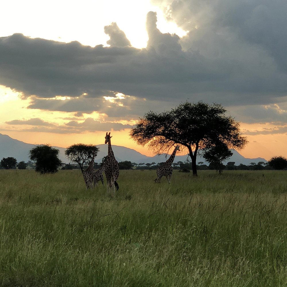 Sunset in Kidepo Valley national Park