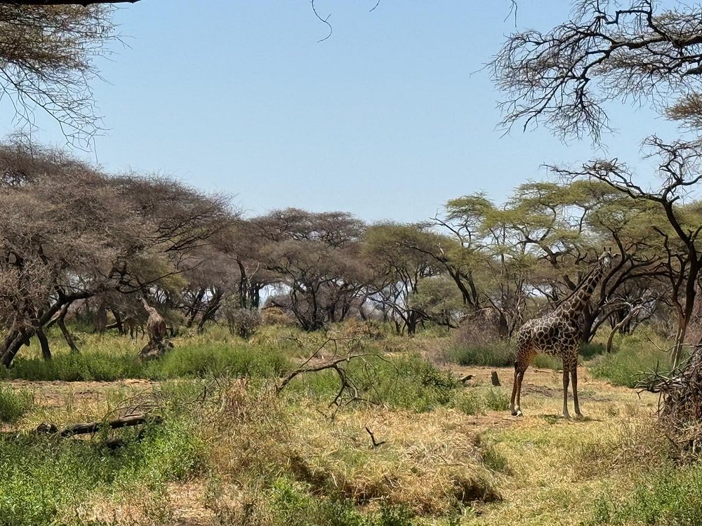 Lake Manyara National Park Tanzania