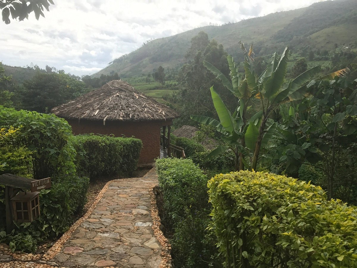 Mahogany Springs lodge bwindi