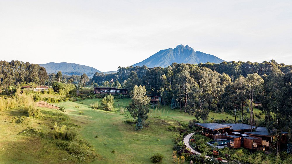One&only Gorilla's Nest Volcanoes national park