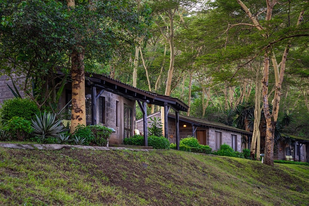 Serova Lion Hill game Lodge