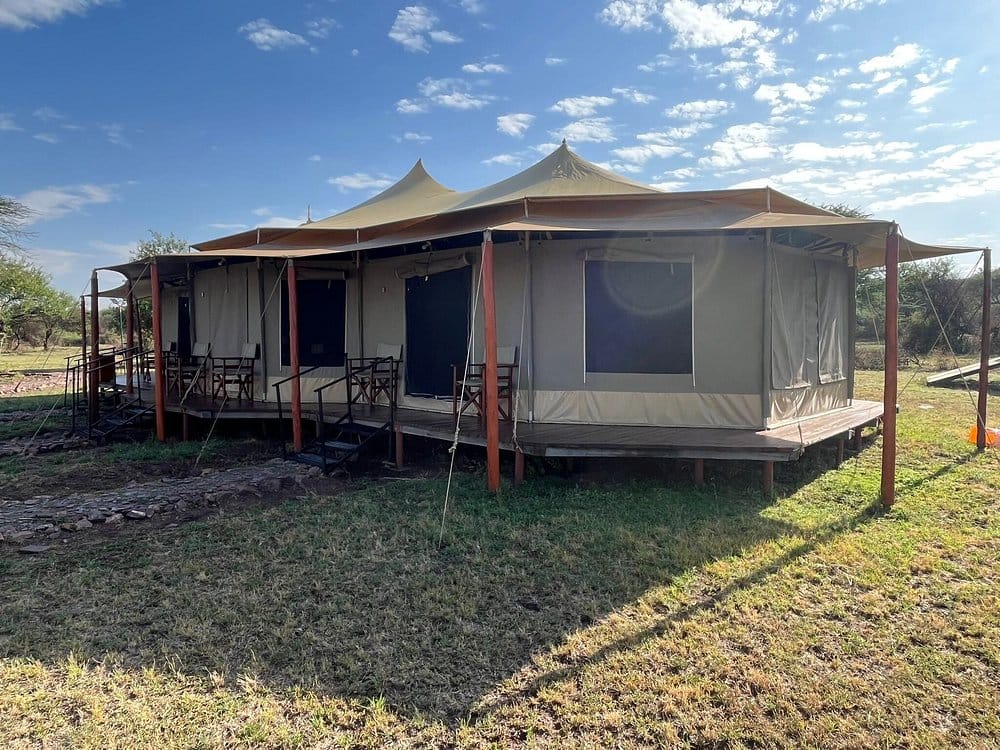 Serengeti Sounds of Silence