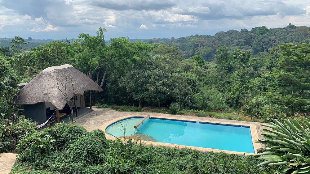 Turaco Treetops in Kibale national park