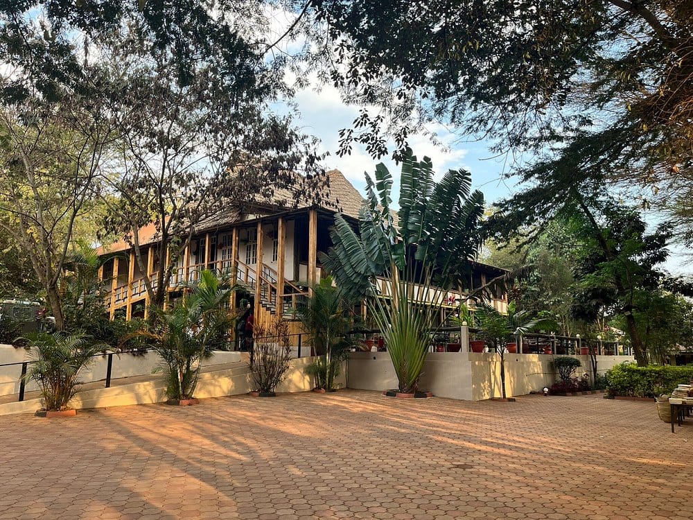 Eileen's Tree Inn in Ngorongoro Crater