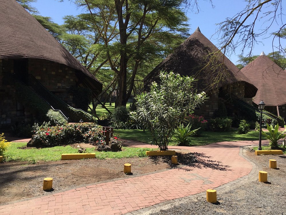 Lake Naivasha Sopa Lodge in naivasha National Park