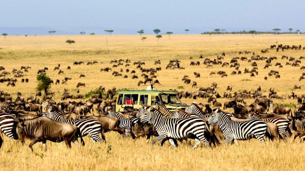 Game Drive in Serengeti National Park